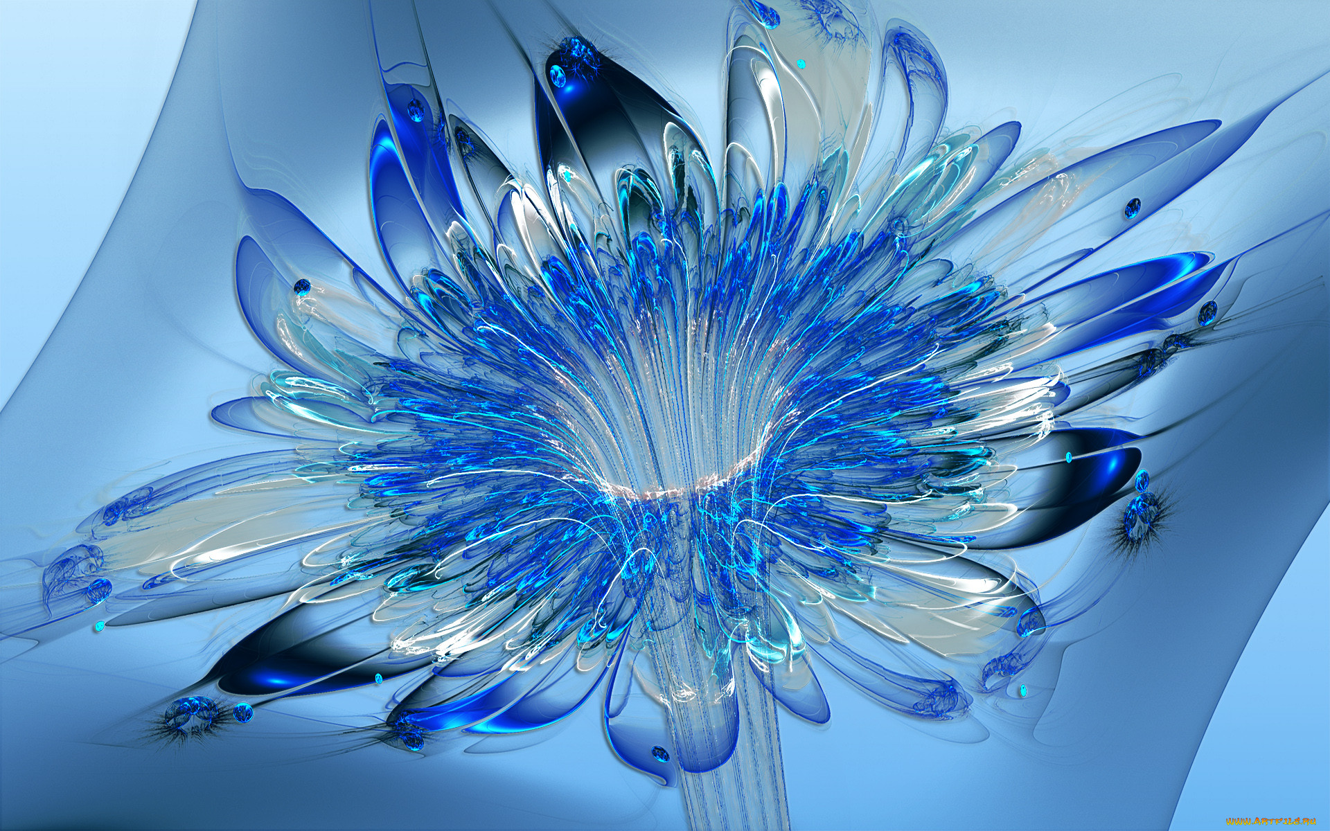 3, , flowers, , 